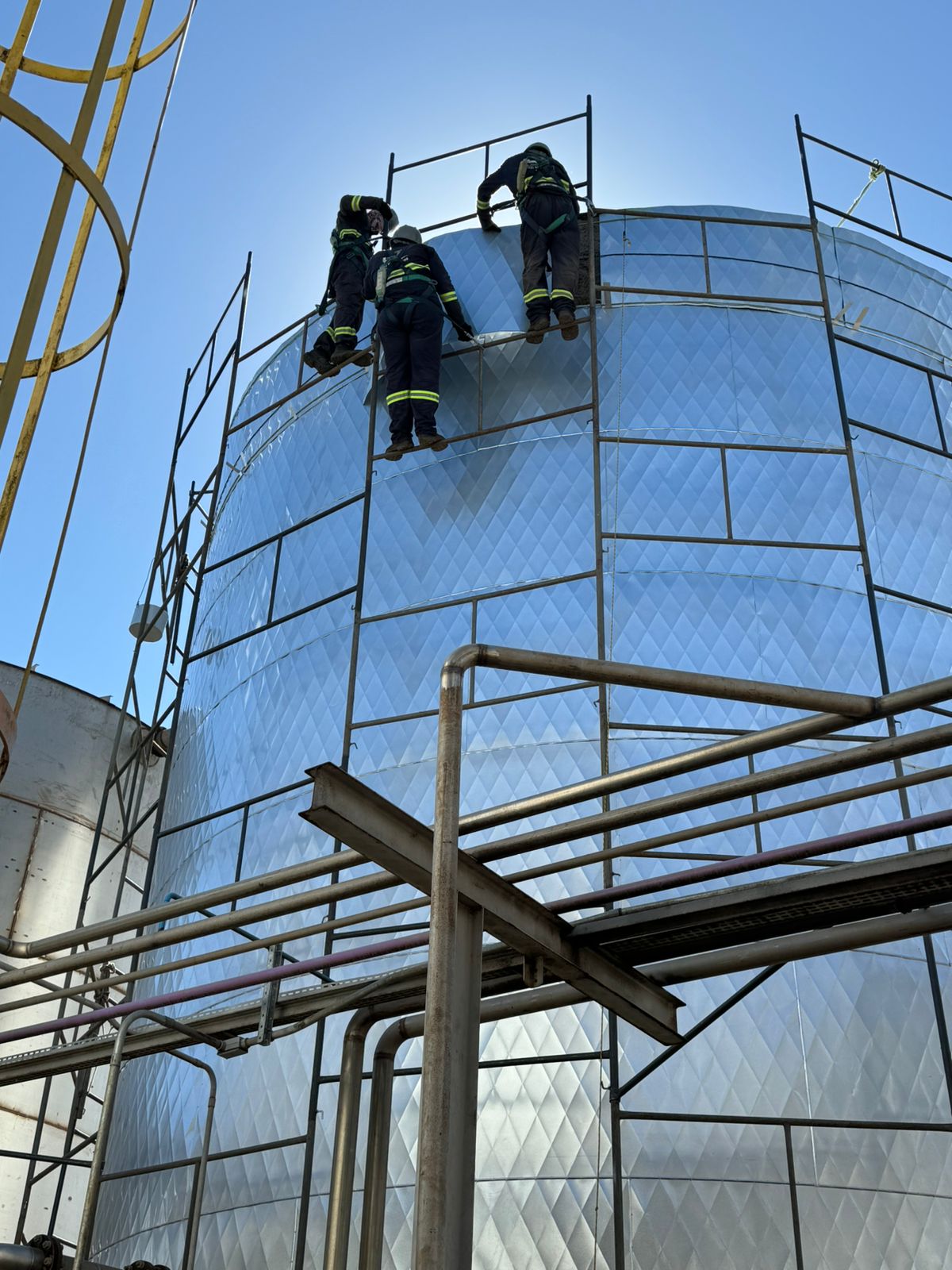 WhatsApp Image 2024-05-20 at 11.07.46.jpeg