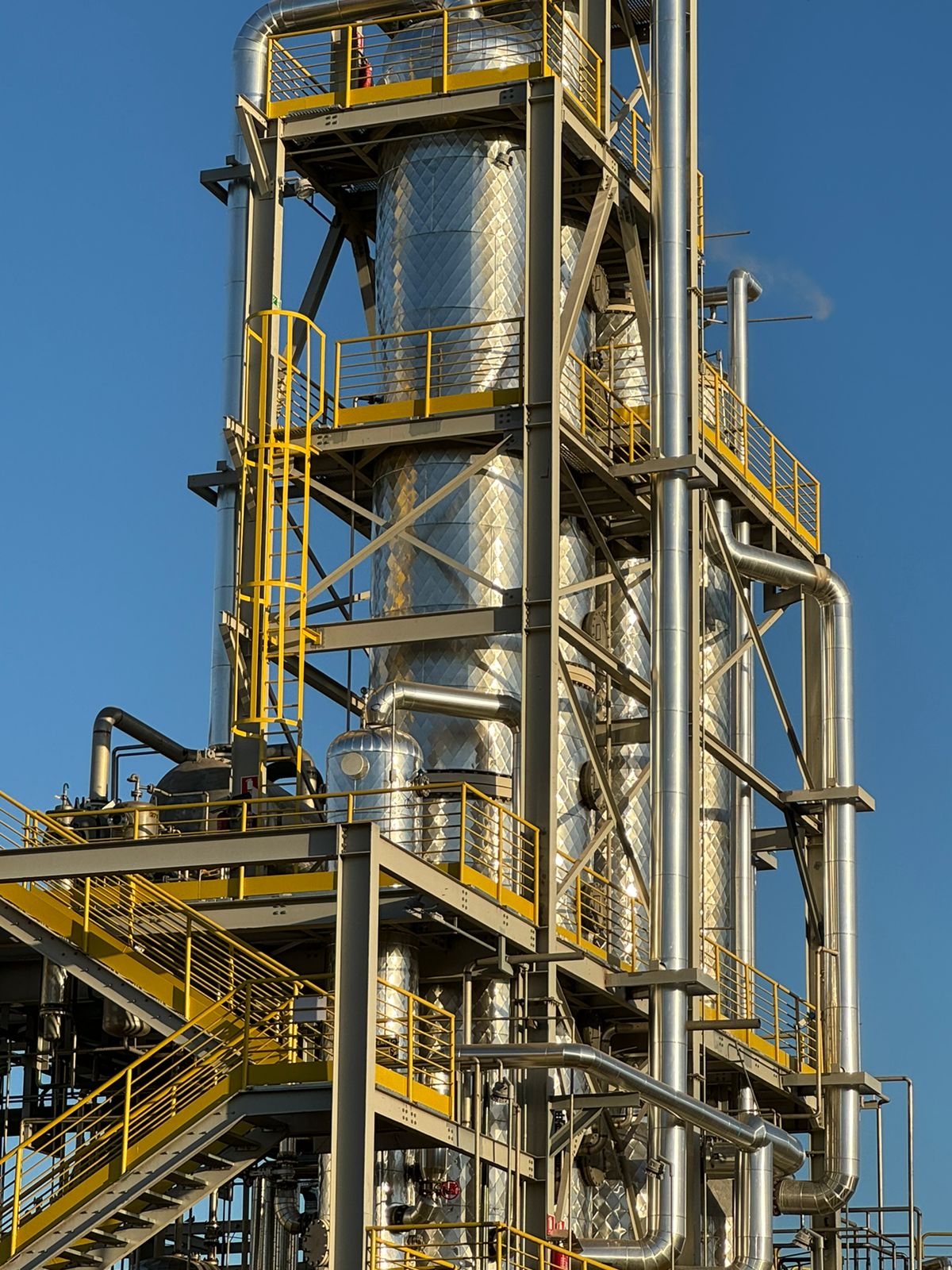 WhatsApp Image 2024-05-20 at 11.06.06.jpeg